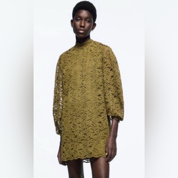 Zara Olive Green Lace Long Sleeve Dress - Picture 4 of 10
